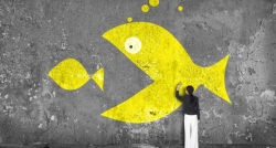 Домашний интернет Ринет отойдет другому провайдеру. Как это отразится на абонентах и стоит ли теперь подключаться?